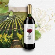 Winowersytet cz.1 - Pierwsze spotkanie z winem
