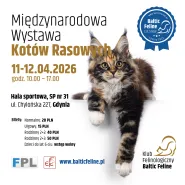Międzynarodowa Wystawa Kotów Rasowych