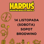 Harpuś - z mapą na Brodwino!