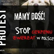 "Stop cierpieniu zwierząt". Protest