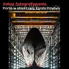 Zakaz fotografowania. Morze w obiektywie Karola Przybyły