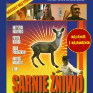 Sarnie żniwo, czyli pokusa statuetkowego szlaku | najlepsze z najgorszych
