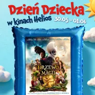Drzewo magii - seanse z konkursami HDD