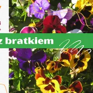 Zbrataj się z bratkiem, przygarnij... kwiatka!