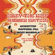 Acidsitter