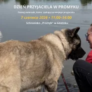 Dzień Przyjaciela w Promyku