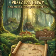 Tajemnica starego drzewa: spacer 