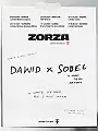Festiwal ZORZA 2027 - Dawid Podsiadło  Sobel