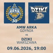 Koszykówka: AMW ARKA Gdynia - Dziki Warszawa