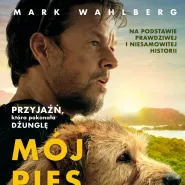 Kino Dzielnicowe: Mój pies Artur