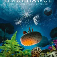 Kino Dzielnicowe: Dmuchawce