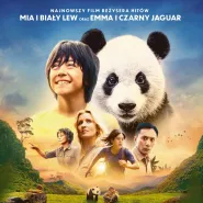 Kino Dzielnicowe: Moon: Panda i ja