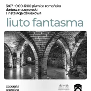 Instalacja dźwiękowa liuto fantasma 