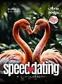 Speed Dating