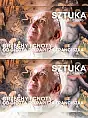 Sztuka w centrum. nowości 2026 |GCF