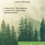 Zielona odskocznia II. Leśne relaksacje