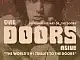 The Doors Alive