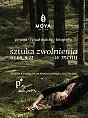 Sztuka Zwolnienia w Mchu