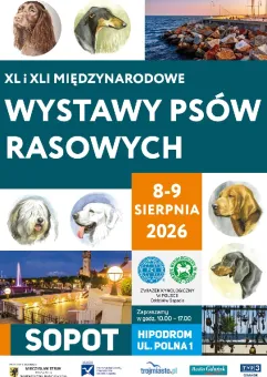Międzynarodowa Wystawa Psów Rasowych