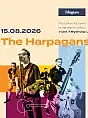 Muzyczne weekendy w Blugrass
