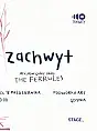 Zachwyt + The Ferrules w Gdyni