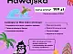 Nocka Hawajska