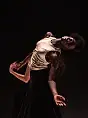 "Land of hope" Compagnie Linga