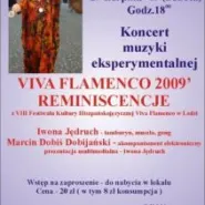 Viva Flamenco - reminiscencje VIIII Festiwalu Kultury Hiszpańskojęzycznej  w Łodzi