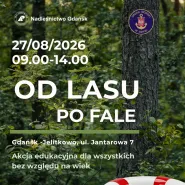 Od lasu po fale