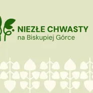 Niezłe Chwasty na Biskupiej Górce