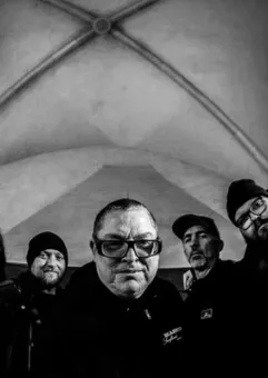 Hamapple (USA) + Moron's Morons