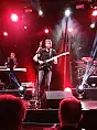 The Pineapple Thief