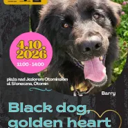 Black Dog, Golden Heart! w Otominie