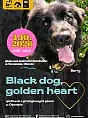 Black Dog, Golden Heart! w Otominie
