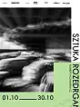 Robert Kozakiewicz - Sztuka Rozedrgana