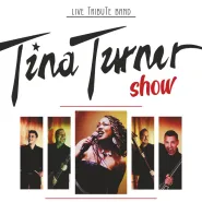 Best of Tina Turner