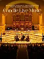 Candle Live Music: Koncert przy świecach