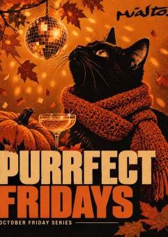 Purrffect Fridays | Miasto.