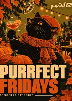 Purrfect Fridays | Miasto.