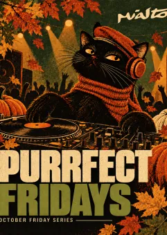 Purrfect Fridays | Miasto.