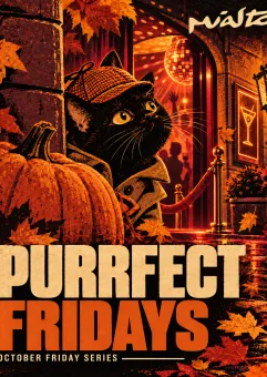 Purrfect Fridays | Miasto.