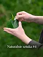 Naturalnie sztuka #4