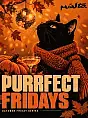 Purrffect Fridays | Miasto.