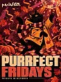Purrfect Fridays | Miasto.