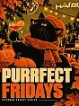 Purrfect Fridays | Miasto.