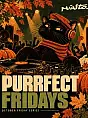 Purrfect Fridays | Miasto.