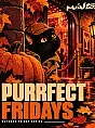 Purrfect Fridays | Miasto.