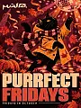 Purrfect Fridays | Miasto.