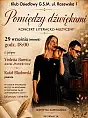 Pomiędzy dźwiękami - koncert autorski