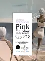 Wernisaż "Pink October" | Bożena Sieczyńska